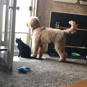 Meet your Posher, Colleen